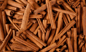 CANELA