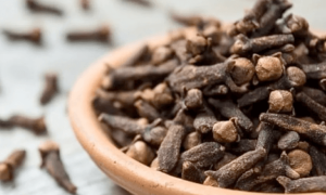 HOJA DE LAUREL