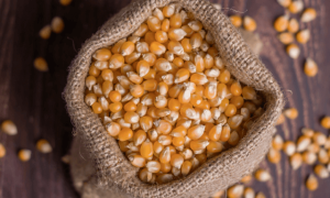 MAIZ POPCORN