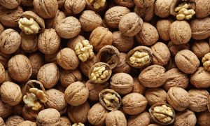 NUECES